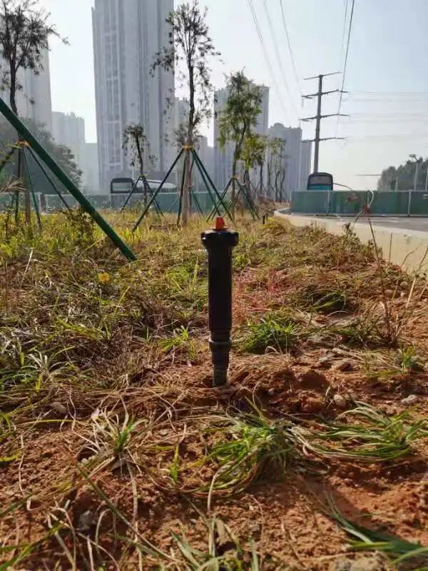 “高颜值、会呼吸”,海绵城市理念在道路建设中的应用 “高颜值、会呼吸”,海绵城市理念在道路建设中的应用
