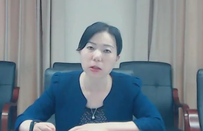 中国城市规划年会总体规划学术委员会专题会议线上会场圆满举办