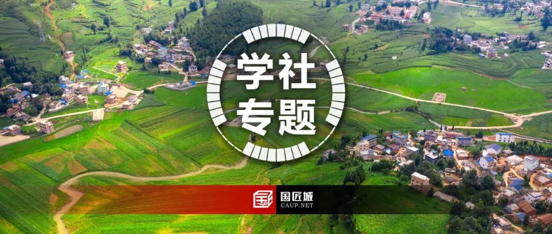 本周专题：乡村振兴示范区——案例分享