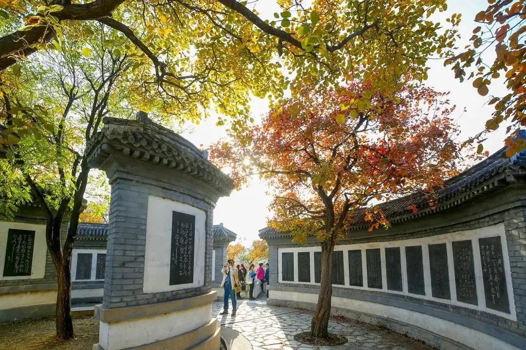2021北京红叶观赏指南! 2021北京红叶观赏指南!