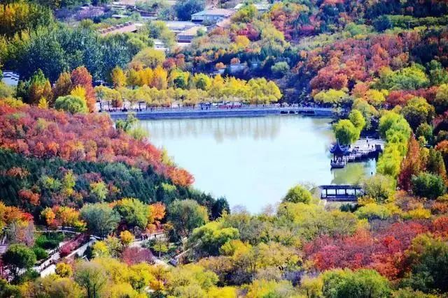 2021北京红叶观赏指南! 2021北京红叶观赏指南!