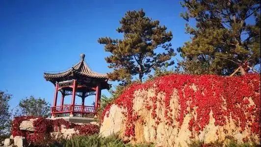 2021北京红叶观赏指南! 2021北京红叶观赏指南!