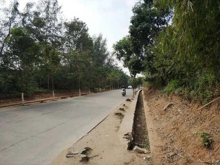“高颜值、会呼吸”,海绵城市理念在道路建设中的应用 “高颜值、会呼吸”,海绵城市理念在道路建设中的应用
