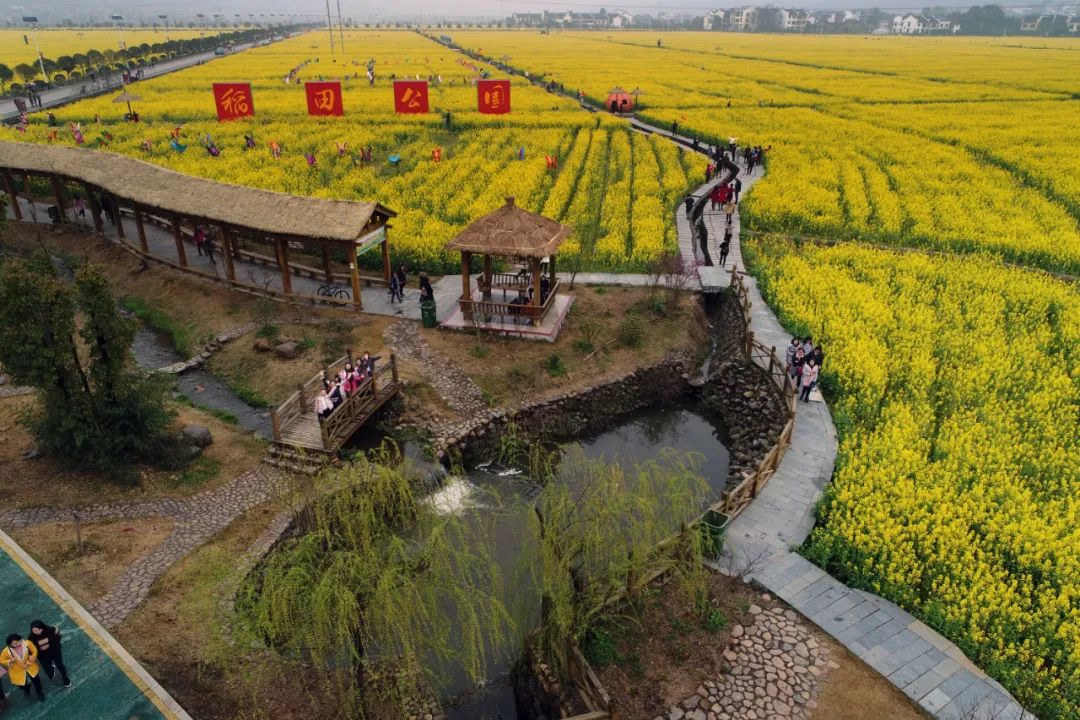 看三湘大地，绿意盎然