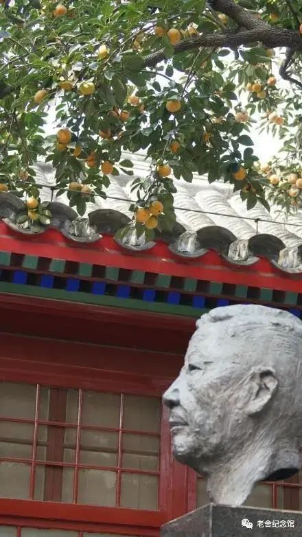 柿子红了 | 在老舍先生的“丹柿小院”展开一场循迹之旅 柿子红了 | 在老舍先生的“丹柿小院”展开一场循迹之旅