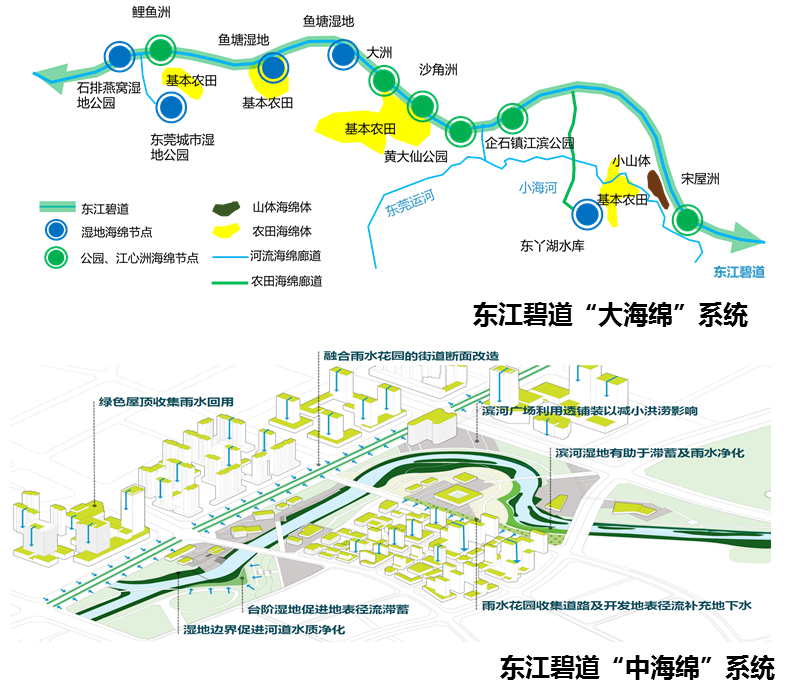 湾区都市,品质东莞 | 东莞市海绵城市专项规划 湾区都市,品质东莞 | 东莞市海绵城市专项规划