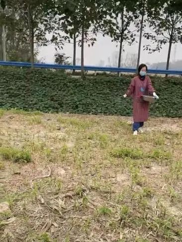 【投稿】乡村观察:再回乡,寂静的村庄 【投稿】乡村观察:再回乡,寂静的村庄