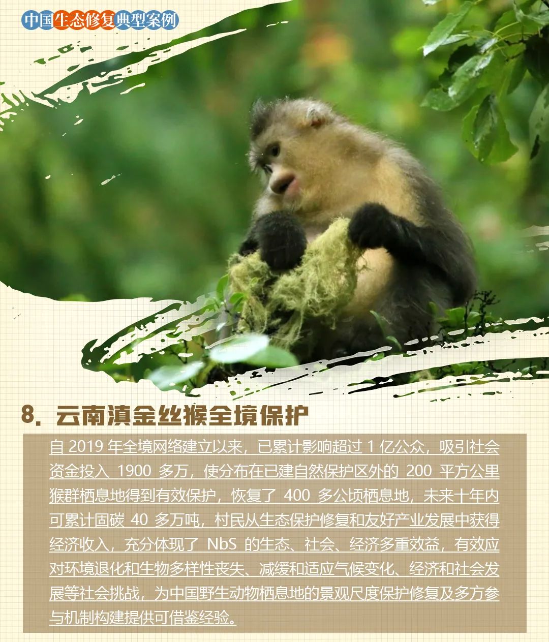自然资源部:《中国生态修复典型案例集》(含18个案例) 自然资源部:《中国生态修复典型案例集》(含18个案例)