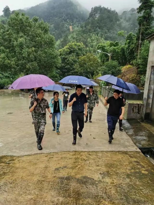 牢牢守护人民群众生命财产安全 为全省和全国输出地质灾害精密防治“杭州方案”