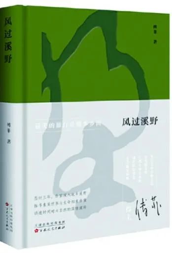 《风过溪野》:对自然文明的深情表达 《风过溪野》:对自然文明的深情表达