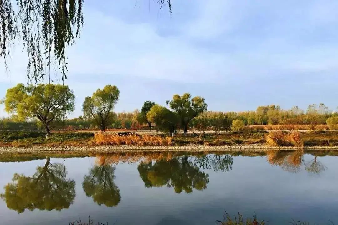 2021北京红叶观赏指南! 2021北京红叶观赏指南!