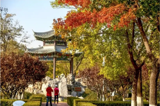 2021北京红叶观赏指南! 2021北京红叶观赏指南!