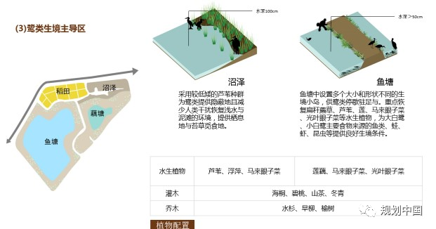 推动生态优先、绿色发展——中国城市规划设计研究院绿色城市研究所的科研与实践探索 推动生态优先、绿色发展——中国城市规划设计研究院绿色城市研究所的科研与实践探索