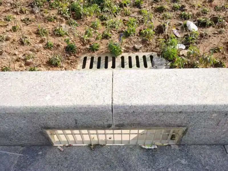 “高颜值、会呼吸”,海绵城市理念在道路建设中的应用 “高颜值、会呼吸”,海绵城市理念在道路建设中的应用