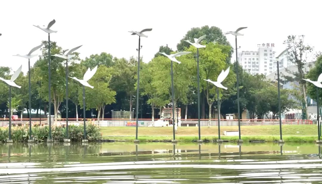 看三湘大地，绿意盎然
