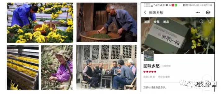 悠悠林中路 念念乡土情 —— 驻村规划师刘琳的乡村振兴路