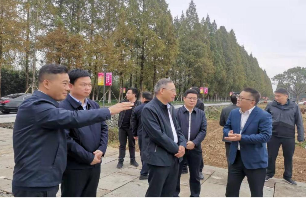 省自然资源厅潘俊国一行来桐专项督查耕地占补平衡工作