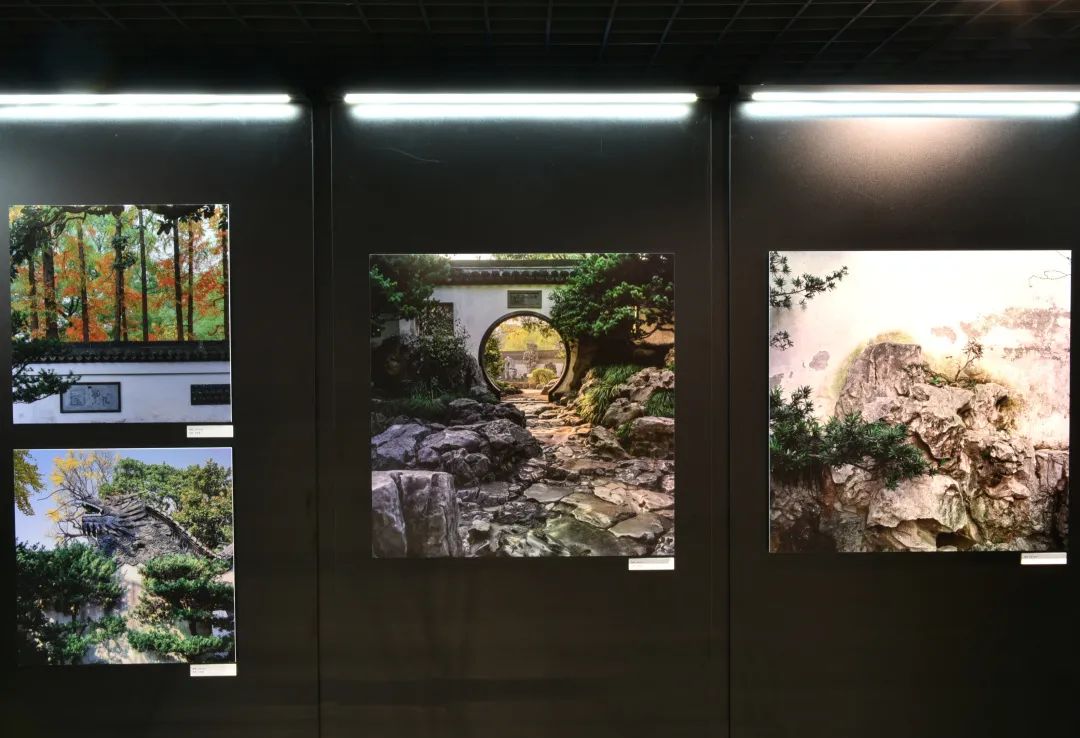 “地域文化 双城视角:京沪城市文化影像展”开展啦 “地域文化 双城视角:京沪城市文化影像展”开展啦