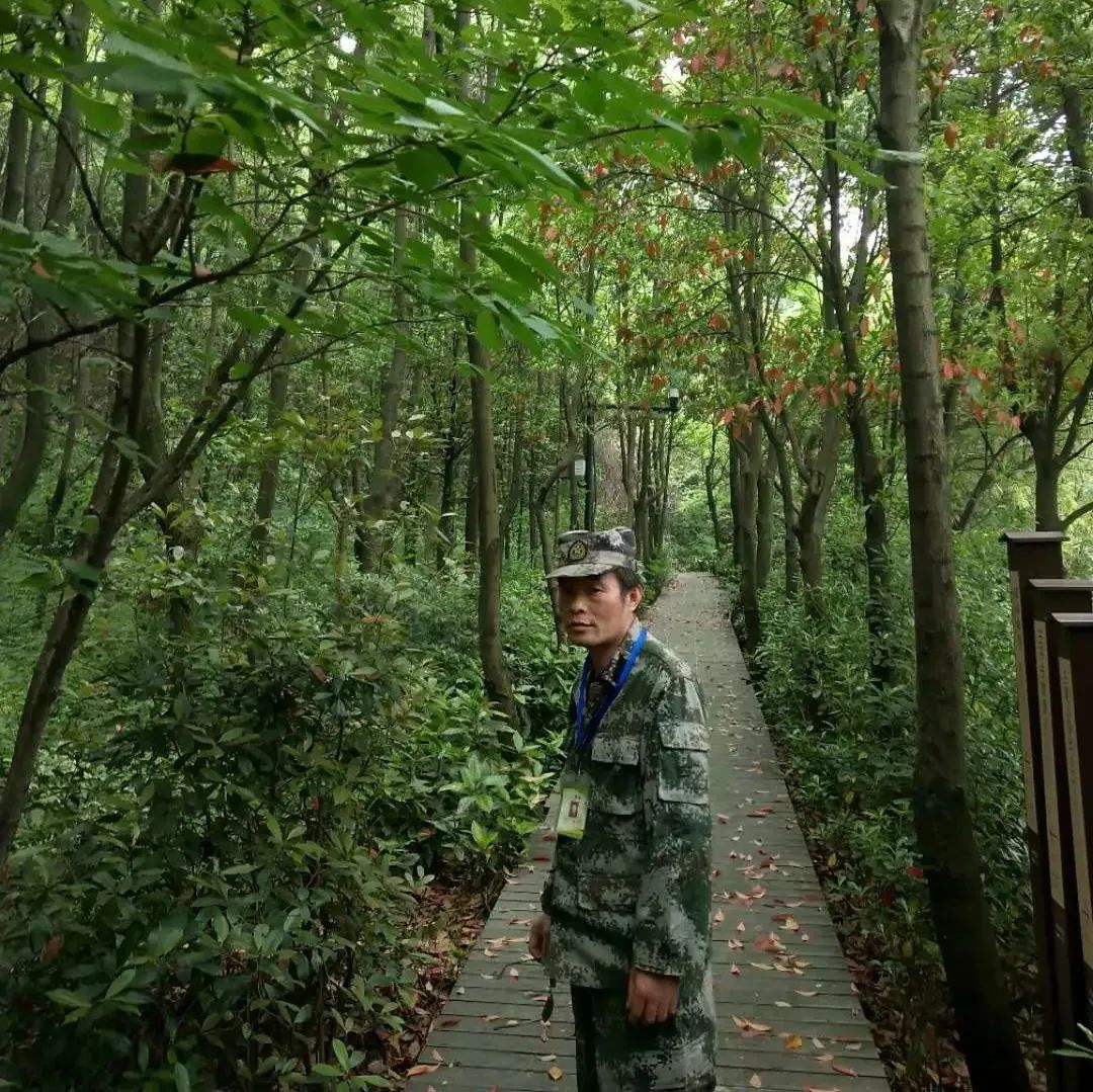巡山护林 保障森林防火安全 我们共同努力！
