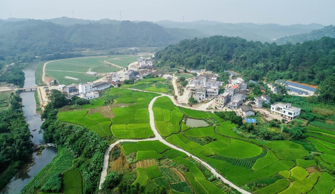 山地与平原城市生态安全格局构建及修复区域识别研究 山地与平原城市生态安全格局构建及修复区域识别研究