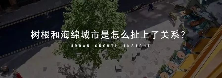 混合街区是怎样形成的？