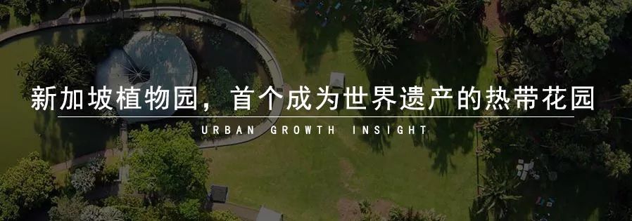 混合街区是怎样形成的？