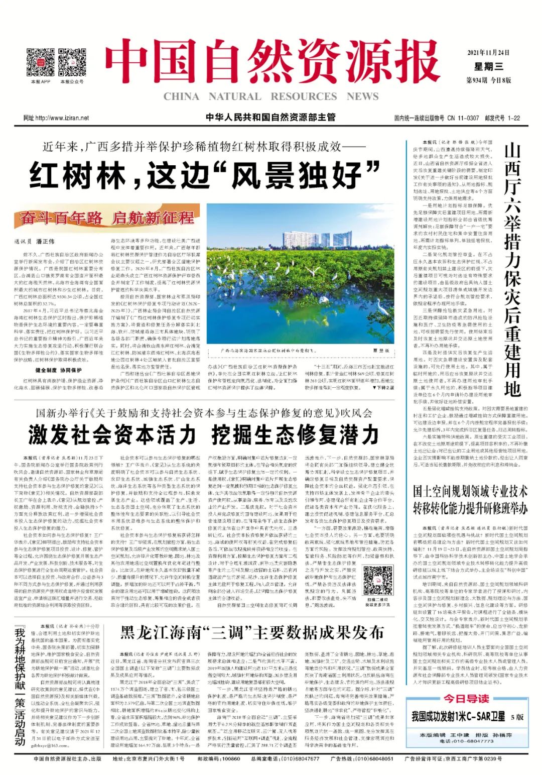 奋斗百年路 启航新征程｜红树林，这边“风景独好”