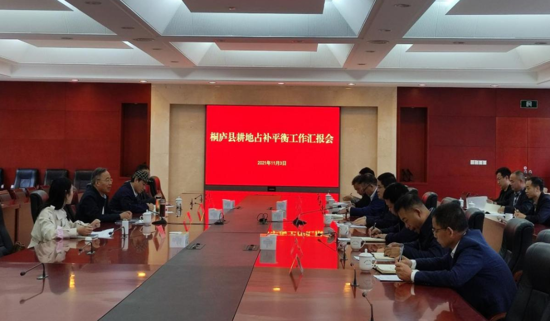 省自然资源厅潘俊国一行来桐专项督查耕地占补平衡工作 省自然资源厅潘俊国一行来桐专项督查耕地占补平衡工作