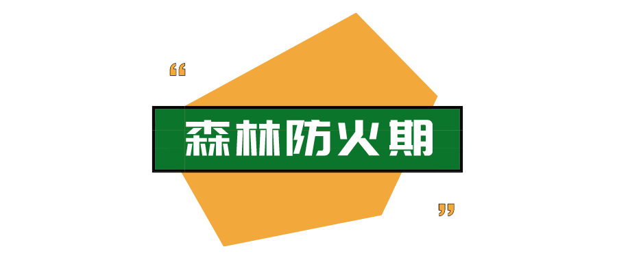 巡山护林 保障森林防火安全 我们共同努力! 巡山护林 保障森林防火安全 我们共同努力!
