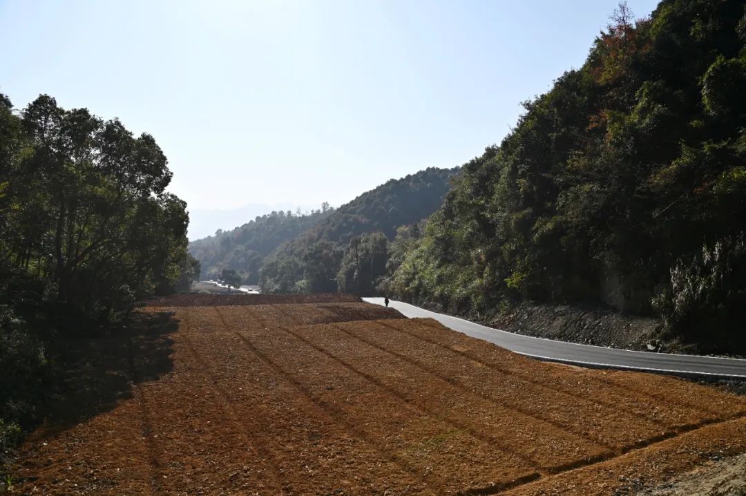 全市“迎亚运”山体生态修复景观提升专项行动现场推进会在富阳召开