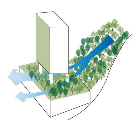 积极应对气候变化,加强生物多样性保护——2021年全球市长论坛系列活动分论坛成功举办 积极应对气候变化,加强生物多样性保护——2021年全球市长论坛系列活动分论坛成功举办