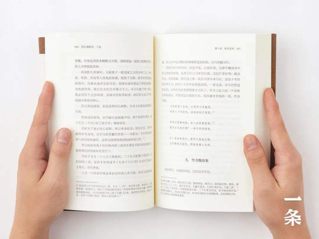 豆瓣评分9.6，二手书炒至千元，苏轼的悲欢洒脱，被他说透了！