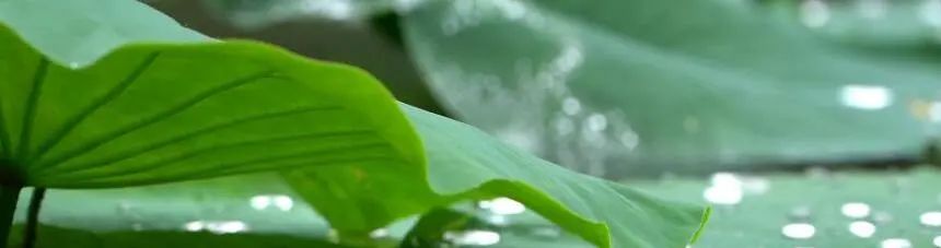节目预告 | 共享的“烦恼”——《我是规划师》第二季 ·《共享小岛》今晚播出! 节目预告 | 共享的“烦恼”——《我是规划师》第二季 ·《共享小岛》今晚播出!