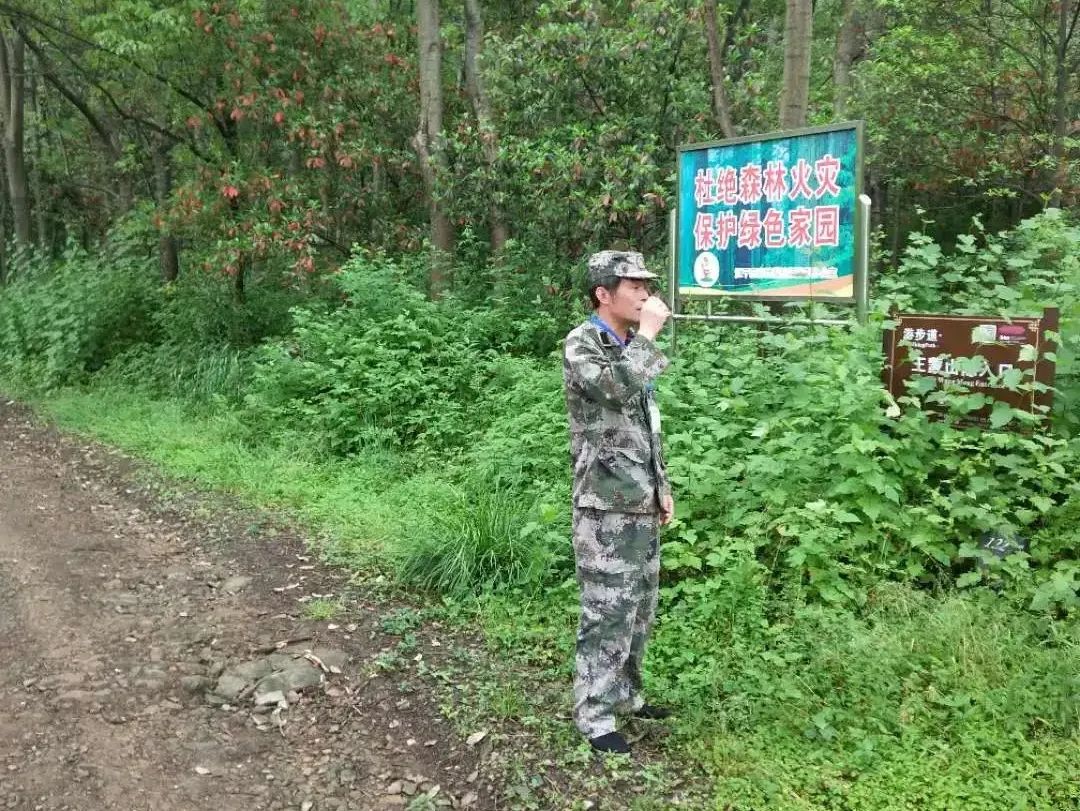 巡山护林 保障森林防火安全 我们共同努力！