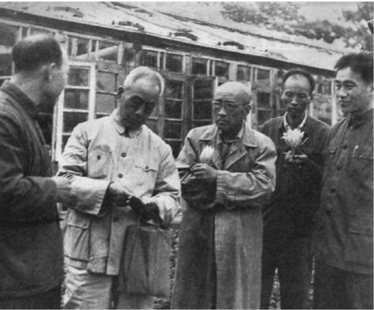 纪念杨廷宝先生诞辰120周年 | 惊艳了一个世纪的中国建筑师