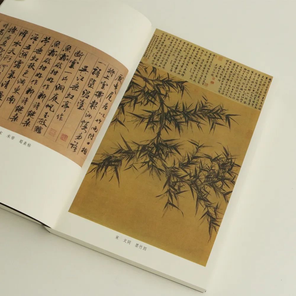 豆瓣评分9.6，二手书炒至千元，苏轼的悲欢洒脱，被他说透了！