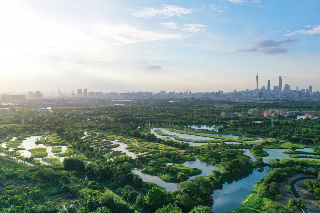 积极应对气候变化,加强生物多样性保护——2021年全球市长论坛系列活动分论坛成功举办 积极应对气候变化,加强生物多样性保护——2021年全球市长论坛系列活动分论坛成功举办