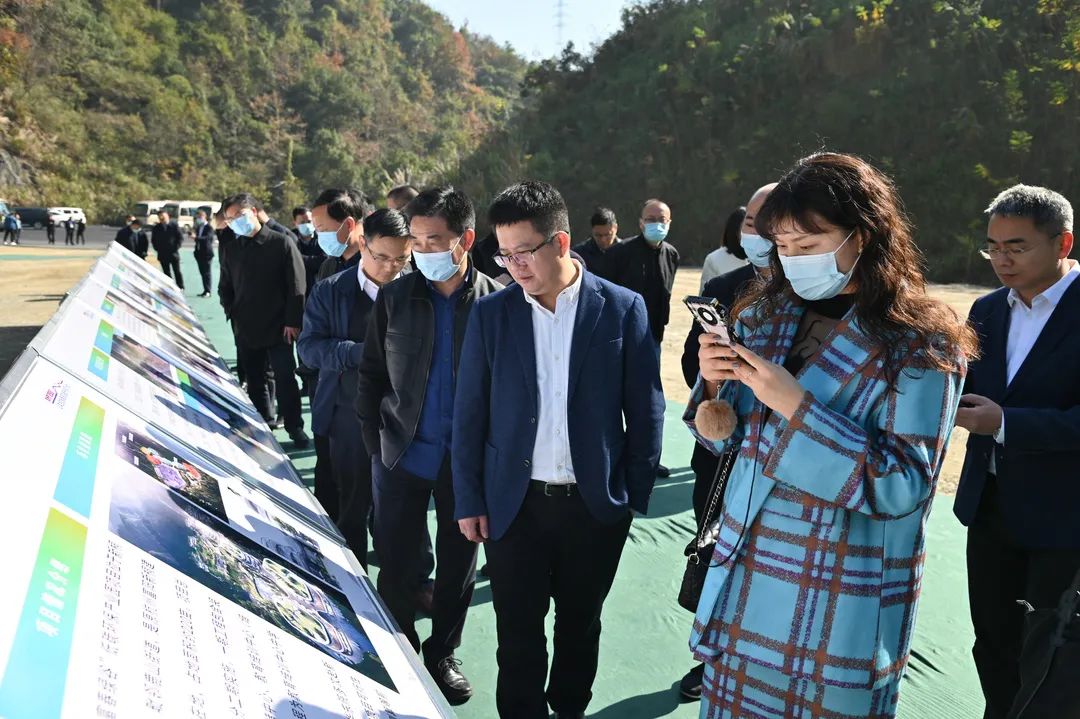 全市“迎亚运”山体生态修复景观提升专项行动现场推进会在富阳召开