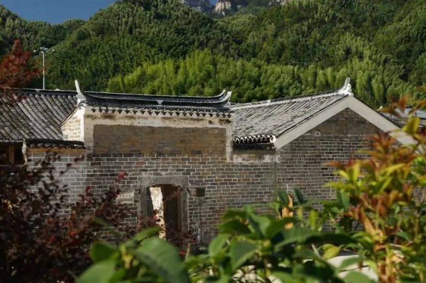悠悠林中路 念念乡土情 —— 驻村规划师刘琳的乡村振兴路