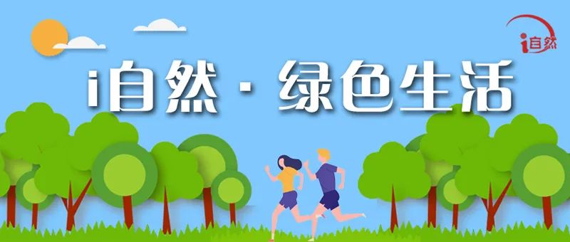 自然资源部部属单位学习贯彻六中全会精神