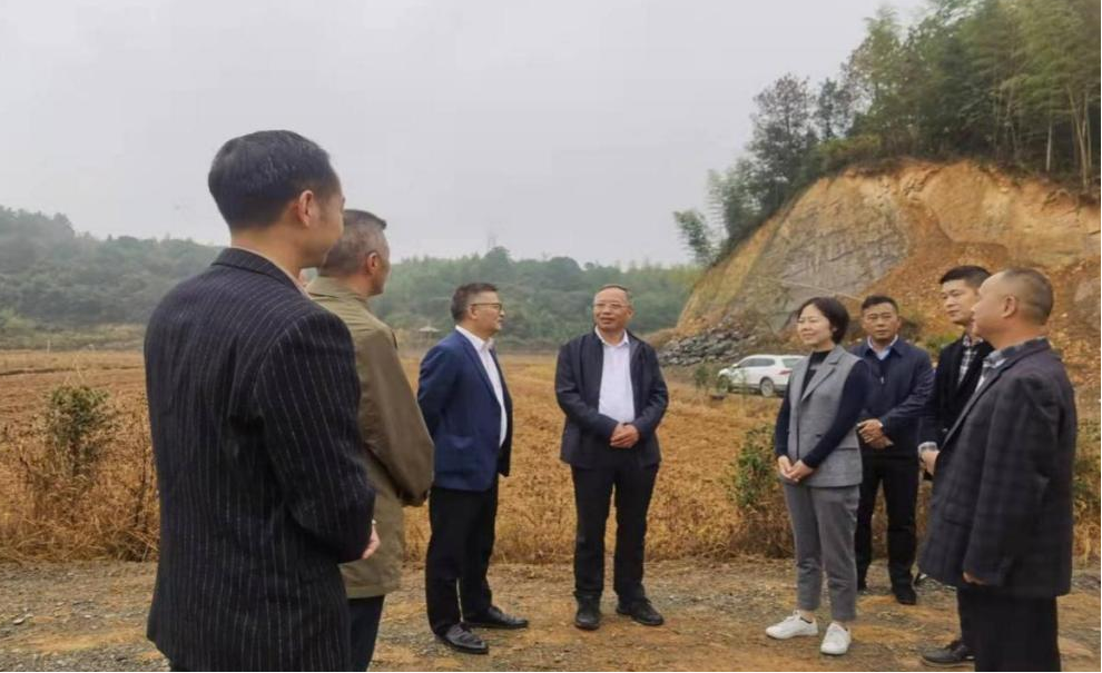 省自然资源厅潘俊国一行来桐专项督查耕地占补平衡工作 省自然资源厅潘俊国一行来桐专项督查耕地占补平衡工作