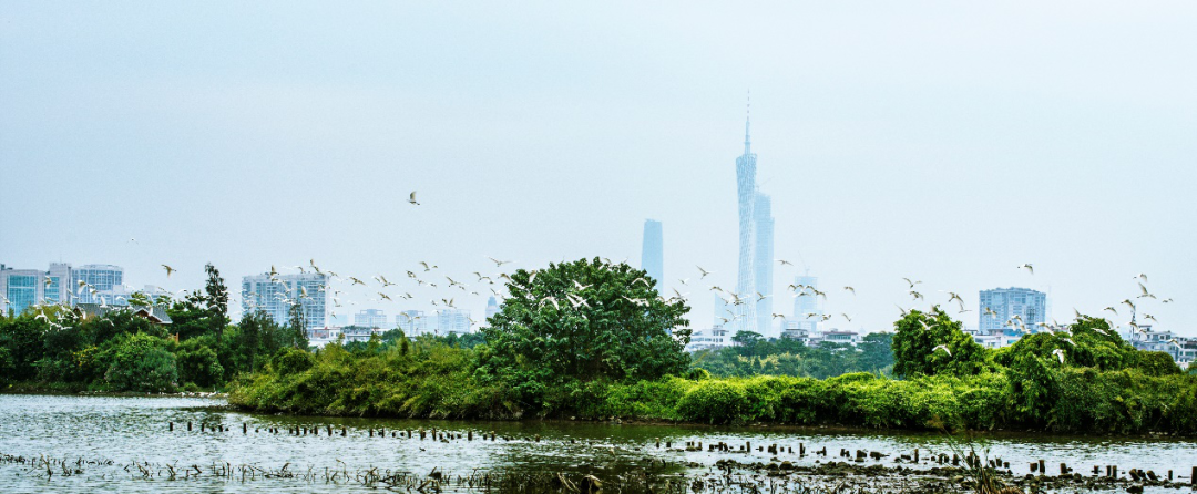积极应对气候变化,加强生物多样性保护——2021年全球市长论坛系列活动分论坛成功举办 积极应对气候变化,加强生物多样性保护——2021年全球市长论坛系列活动分论坛成功举办