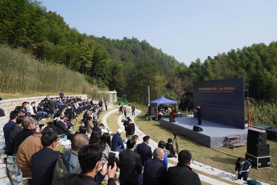 悠悠林中路 念念乡土情 —— 驻村规划师刘琳的乡村振兴路