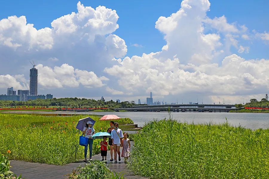 这个海绵城市建设经验值得借鉴