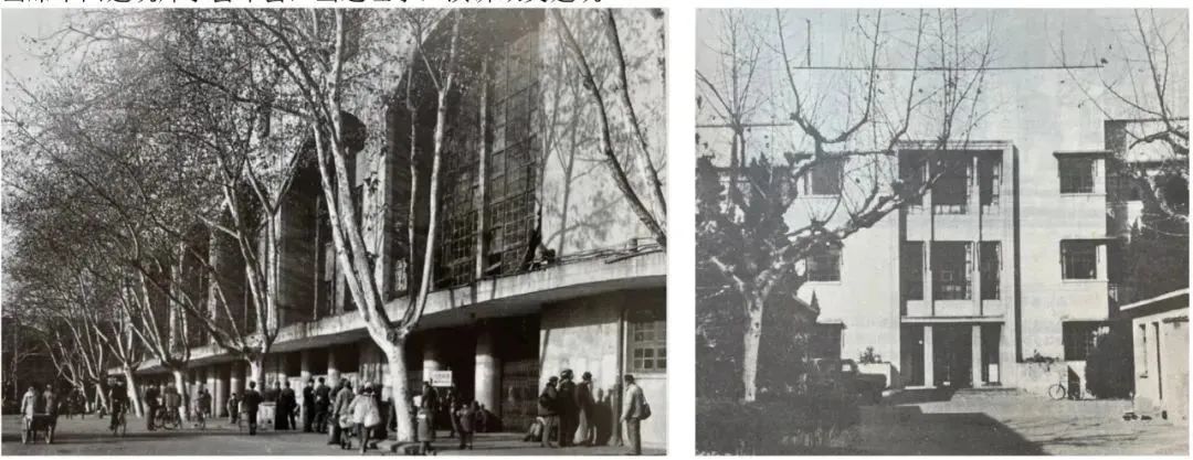 纪念杨廷宝先生诞辰120周年 | 惊艳了一个世纪的中国建筑师