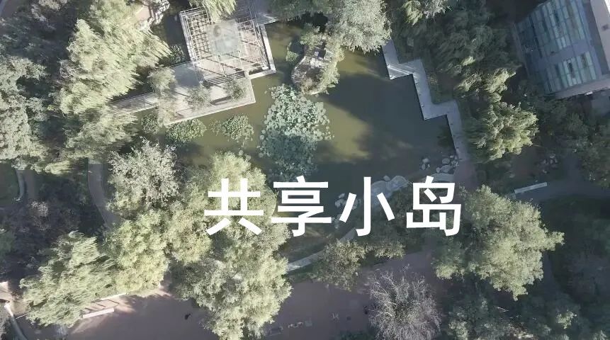 节目预告 | 共享的“烦恼”——《我是规划师》第二季 ·《共享小岛》今晚播出！