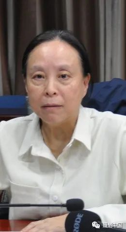 2019-2020建筑设计奖“历史文化保护传承创新专项”获奖项目学术研讨会成功举办 2019-2020建筑设计奖“历史文化保护传承创新专项”获奖项目学术研讨会成功举办