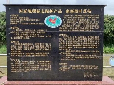 小圩镇大魅力：云浮美丽圩镇建设之路