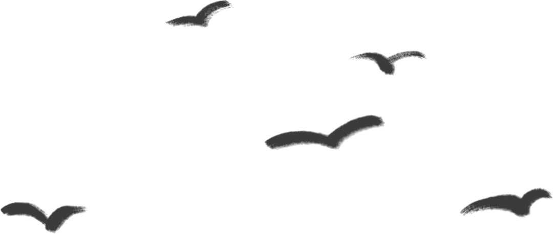 探寻一座城 探寻一座城