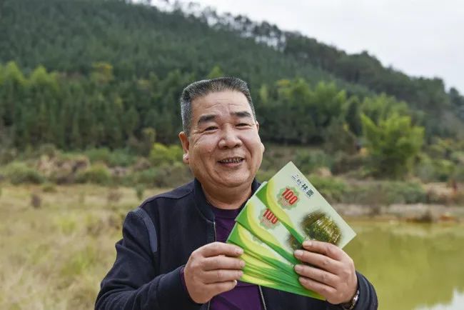 生态产品价值实现案例丨福建省三明市林权改革和碳汇交易